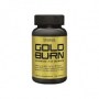 gold-burn-228x228