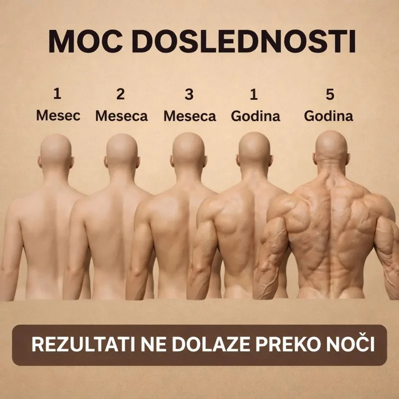 5-dnevni-trening-split-doslednost-rezultati-fitness-monica