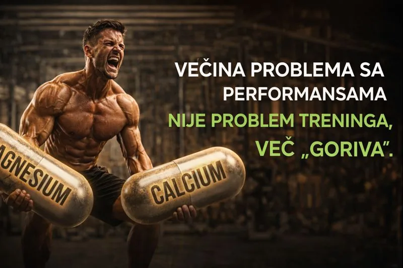 problemi-performansi-nisu-problem-treninga-gorivo-fitnessmonica
