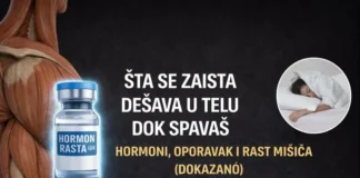 Šta se dešava u telu dok spavaš – hormoni, oporavak i rast mišića tokom sna