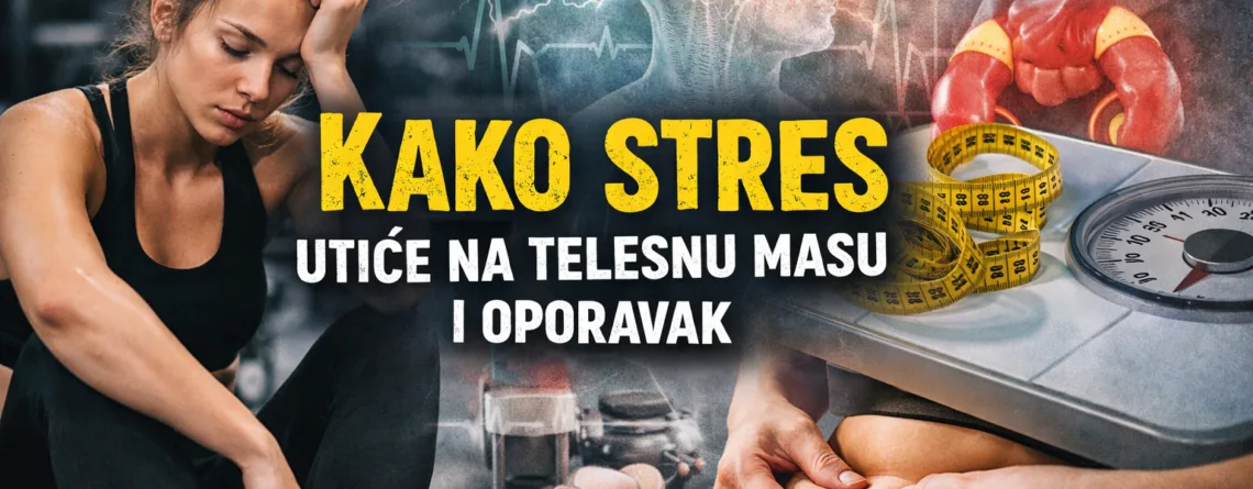 kako-stres-utice-na-telesnu-masu-i-oporavak-fitness-monica