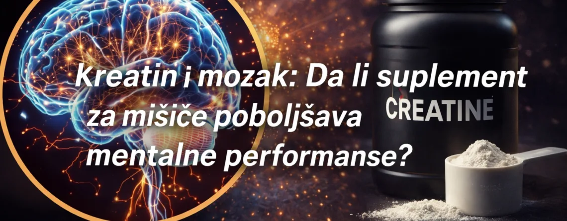 kreatin-i-mozak-mentalne-performanse-fitnessmonica