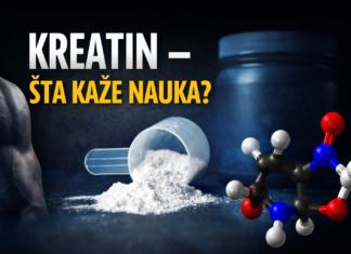Kreatin – šta kaže nauka o snazi i mišićima | Fitness Monica