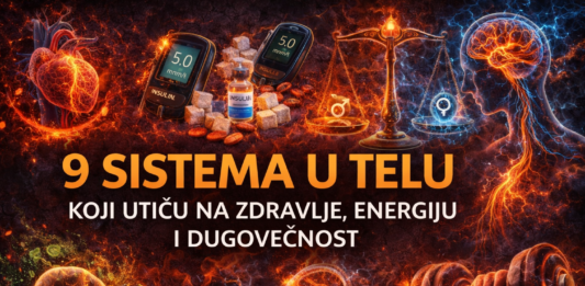 9 sistema u telu koji utiču na zdravlje energiju i dugovečnost