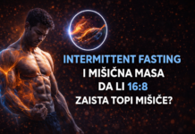 Intermittent fasting i mišićna masa – da li 16:8 zaista topi mišiće?
