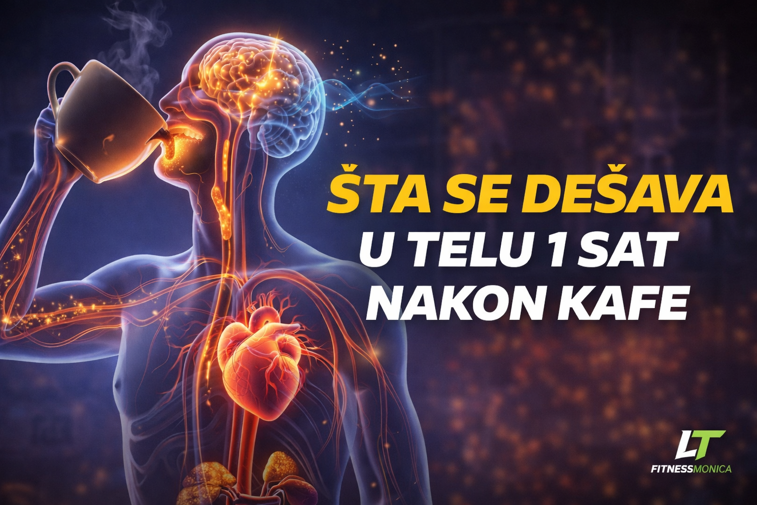 Šta se dešava u telu 1 sat nakon kafe