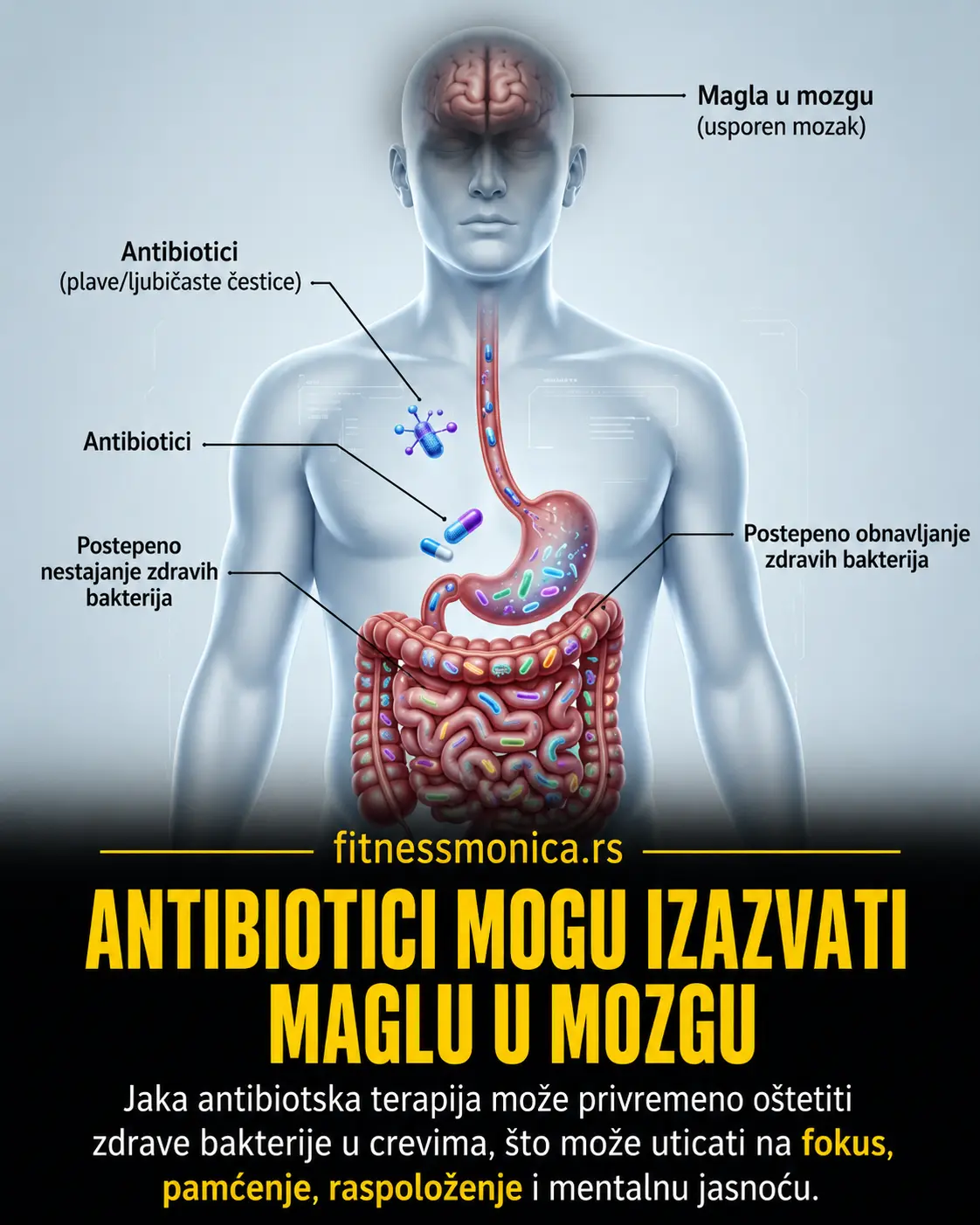 Antibiotici mogu uticati na crevnu floru i izazvati mentalni umor i brain fog