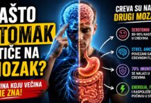 Veza između creva i mozga - serotonin, stres i digestivni sistem