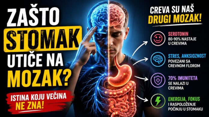 Veza između creva i mozga - serotonin, stres i digestivni sistem