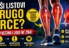 Zašto se listovi nazivaju drugim srcem – cirkulacija i zdravlje Listovi kao drugo srce i njihova uloga u cirkulaciji