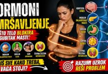 Hormoni i mršavljenje – zašto telo nekada blokira gubitak masti Hormoni i mršavljenje – uticaj metabolizma, stresa i insulina