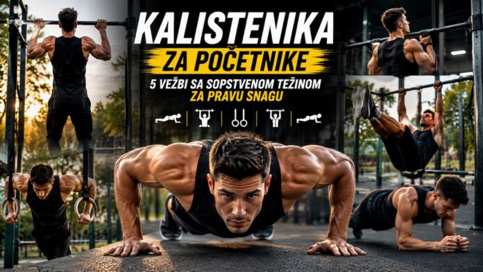 Kalistenika za početnike - vežbe sa sopstvenom težinom Kalistenika za početnike - vežbe sa sopstvenom težinom za snagu, sklekove, zgibove i plank