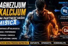 Zašto trening iscrpljuje telo – magnezijum, kalcijum i oporavak Magnezijum i kalcijum u treningu i oporavku mišića