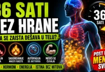 36 sati bez hrane – šta se zaista dešava u telu tokom posta? 36 sati bez hrane i promene u telu tokom posta