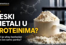 teški metali u proteinima i bezbednost whey proteina