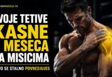 tetive kasne za mišićima i povrede u treningu