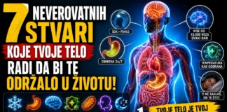 kako telo funkcioniše i štiti organizam svakog dana